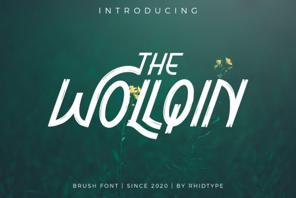 The Wollqin: A Unique Brush Style Display Font for Modern Web Design