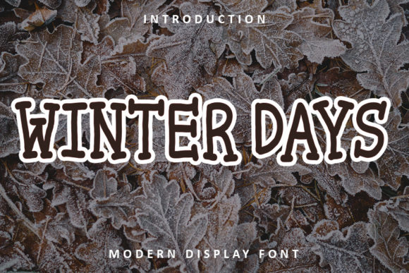 Winter Days: The Perfect Display Font for Small Business Branding