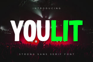 Youlit: A Versatile Display Font for Modern Editorial Design